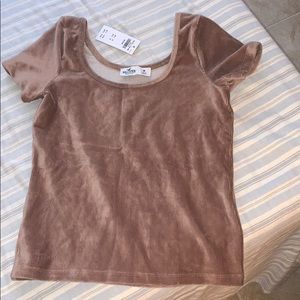 velvet shirt from hollister